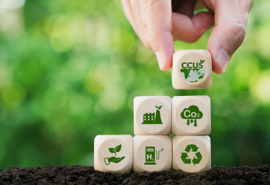 Environmental Impact Statement EIS: Clear Guidance for Project Compliance